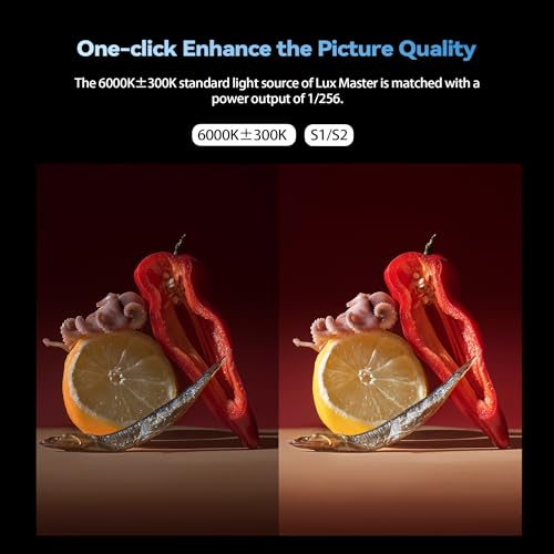 Retro TTL HSS Camera Flash with Touchscreen & Wireless Sync