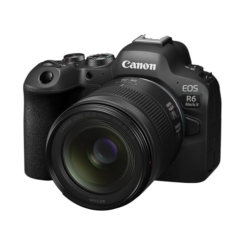 Canon RF28-70mm F2.8 is STM Macro Lens, Black