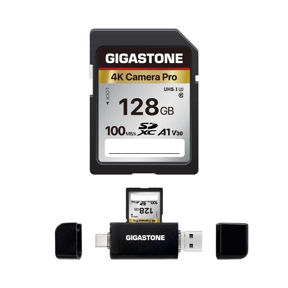 Full Size SD Card 128GB Camera Pro Core Group N1