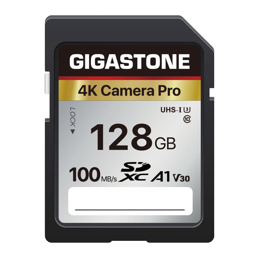 Full Size SD Card 128GB Camera Pro Core Group N1
