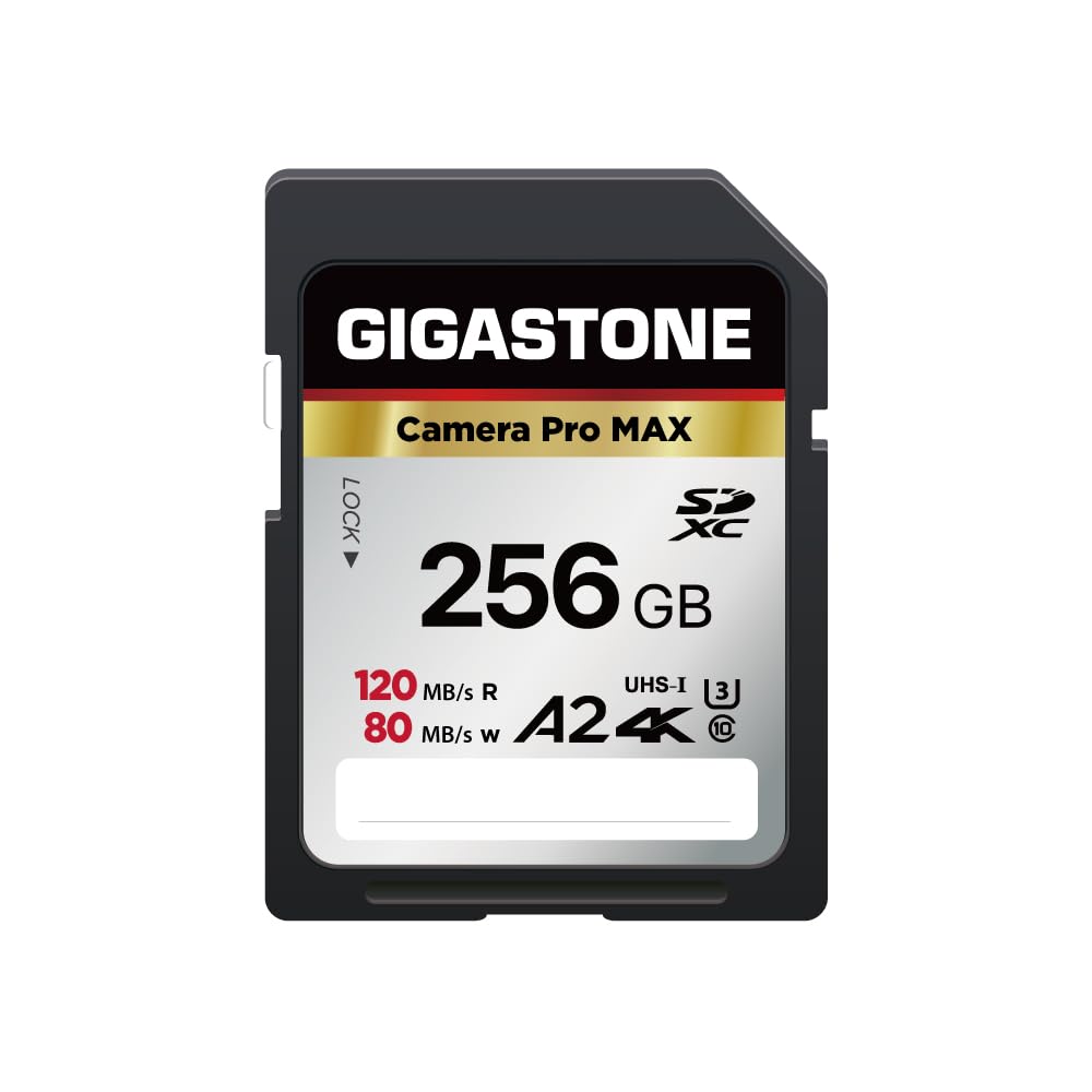 Full Size SD Card 128GB Camera Pro Core Group N1