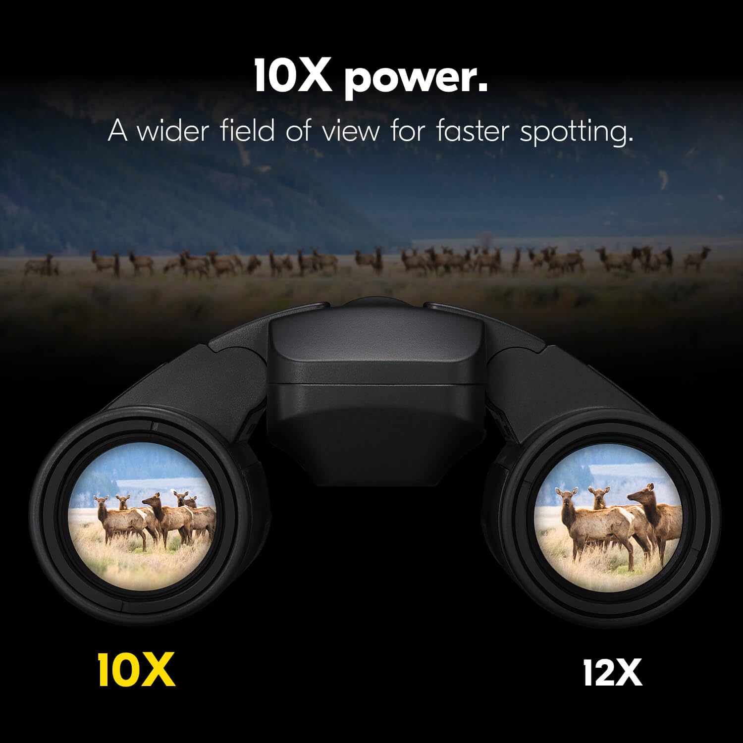 12x Stabilized Waterproof Binoculars with Optical Image Stabilization